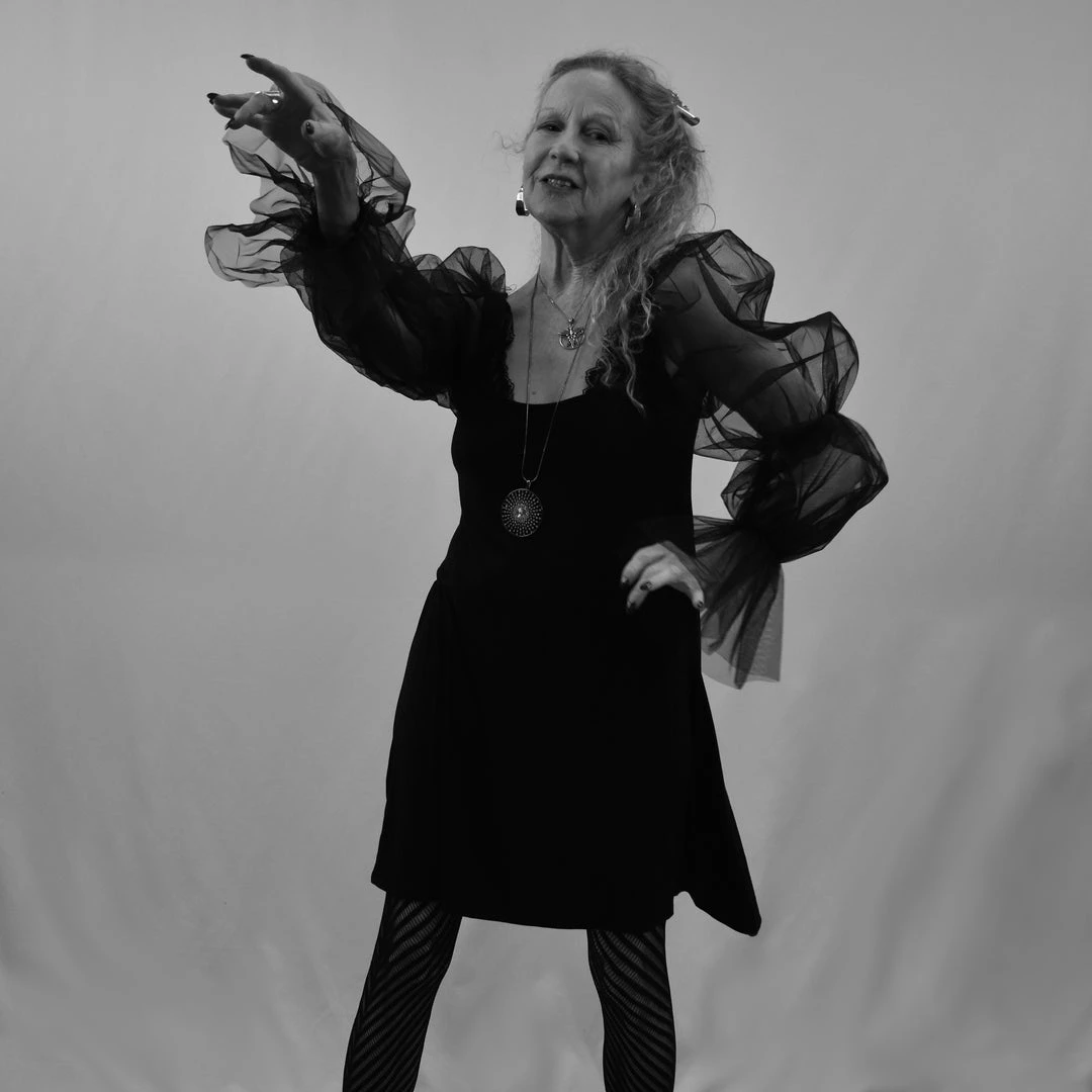 Antoinette Dress THE PRETTY CULT (ONLY SIZE LARGE LEFT!) 4 Antoinette Dress THE PRETTY CULT (ONLY SIZE LARGE LEFT!)