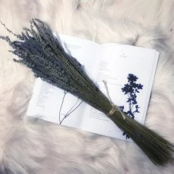 FunDead Publications Consignment Entombed In Verse LOCAL BRANDS 7 FunDead Publications Consignment Entombed In Verse LOCAL BRANDS