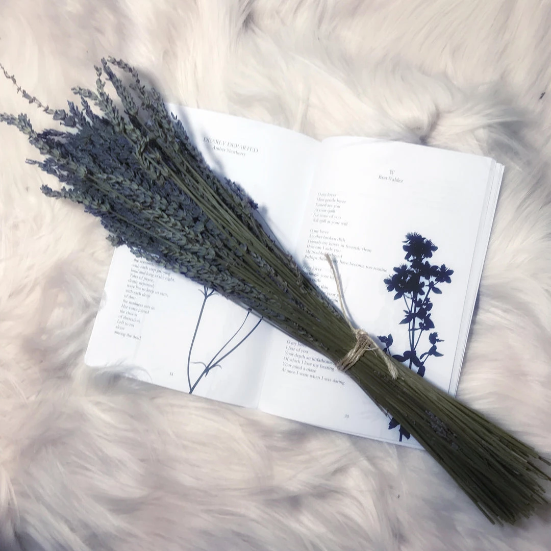 FunDead Publications Consignment Entombed In Verse LOCAL BRANDS 5 FunDead Publications Consignment Entombed In Verse LOCAL BRANDS